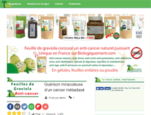 Tablet Screenshot of france-magnetisme.com